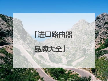 进口路由器品牌大全