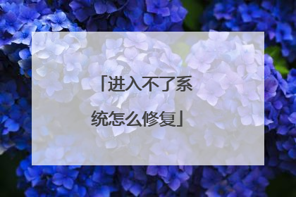 进入不了系统怎么修复