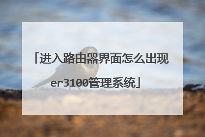 进入路由器界面怎么出现er3100管理系统