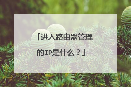 进入路由器管理的IP是什么？