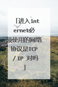 进入internet必须使用的网络协议是TCP/IP 对吗