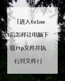 进入telnet后怎样让电脑下载ftp文件并执行其文件?