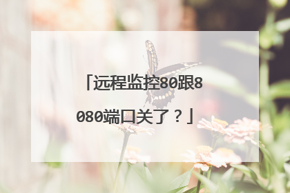 远程监控80跟8080端口关了?