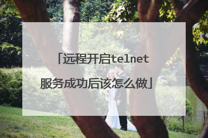 远程开启telnet服务成功后该怎么做