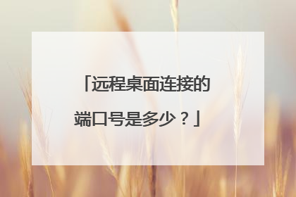 远程桌面连接的端口号是多少？