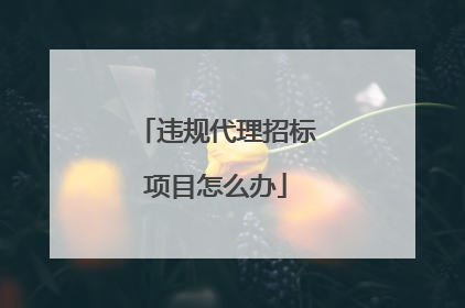 违规代理招标项目怎么办