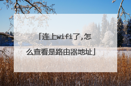 连上wifi了,怎么查看是路由器地址