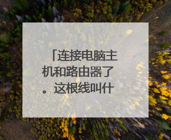 连接电脑主机和路由器了。这根线叫什么名字？