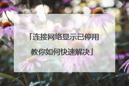 连接网络显示已停用 教你如何快速解决