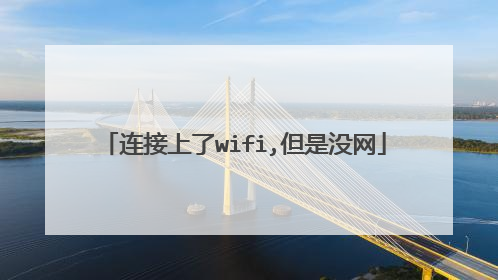连接上了wifi,但是没网