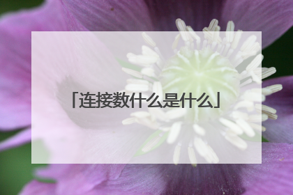 连接数什么是什么