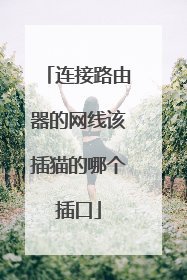 连接路由器的网线该插猫的哪个插口