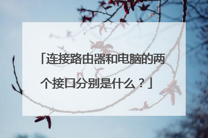 连接路由器和电脑的两个接口分别是什么？