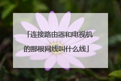 连接路由器和电视机的那根网线叫什么线