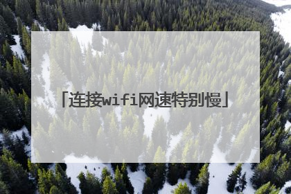 连接wifi网速特别慢