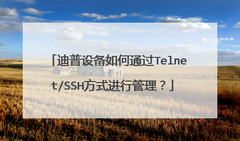 迪普设备如何通过Telnet/SSH方式进行管理？