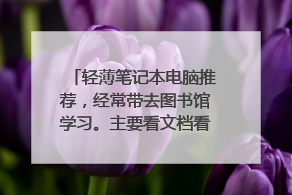 轻薄笔记本电脑推荐，经常带去图书馆学习。主要看文档看视频。不要苹果？