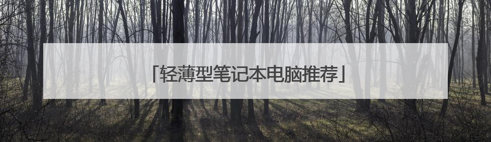 轻薄型笔记本电脑推荐