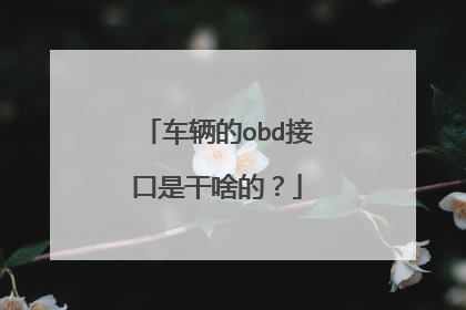 车辆的obd接口是干啥的?
