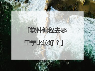 软件编程去哪里学比较好?