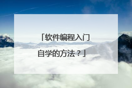 软件编程入门自学的方法？
