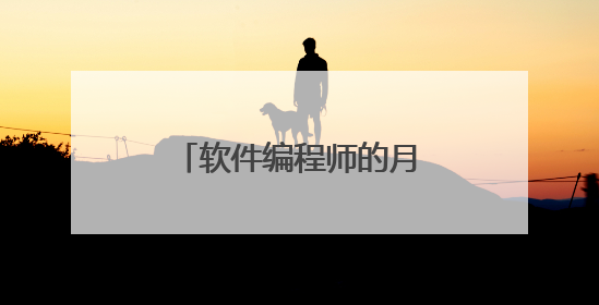 软件编程师的月工资是多少?