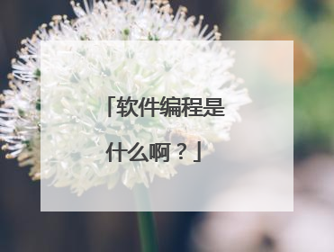 软件编程是什么啊?