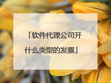 软件代理公司开什么类型的发票