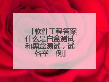 软件工程答案什么是白盒测试和黑盒测试，试各举一例