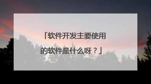 软件开发主要使用的软件是什么呀?