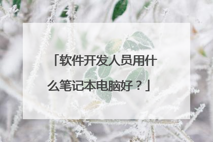 软件开发人员用什么笔记本电脑好?