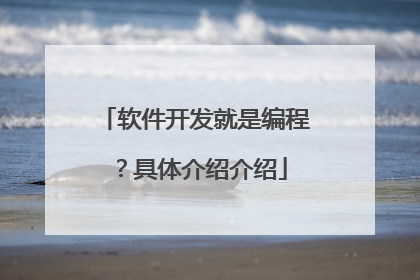 软件开发就是编程？具体介绍介绍