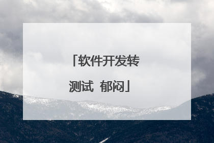 软件开发转测试 郁闷