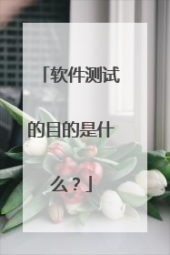 软件测试的目的是什么？