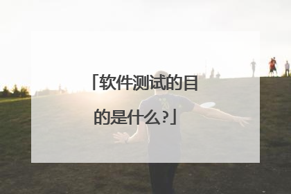 软件测试的目的是什么?