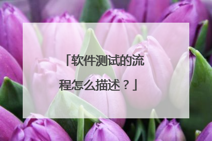 软件测试的流程怎么描述?