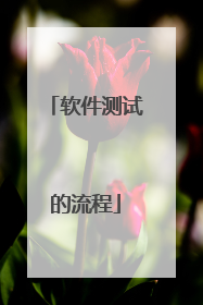 软件测试的流程