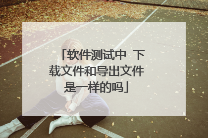 软件测试中 下载文件和导出文件是一样的吗