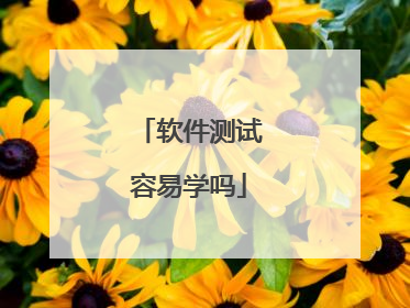 软件测试容易学吗