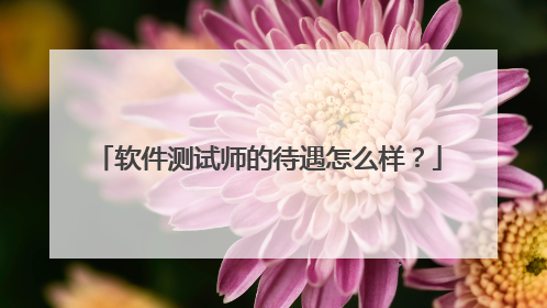 软件测试师的待遇怎么样?