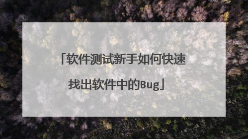 软件测试新手如何快速找出软件中的Bug