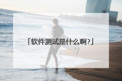 软件测试是什么啊?