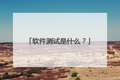 软件测试是什么?