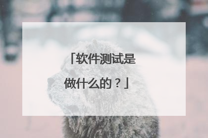 软件测试是做什么的?