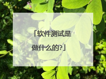 软件测试是做什么的?