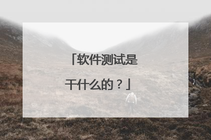 软件测试是干什么的?