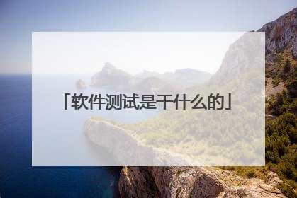 软件测试是干什么的