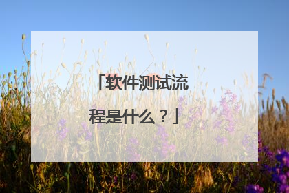 软件测试流程是什么？