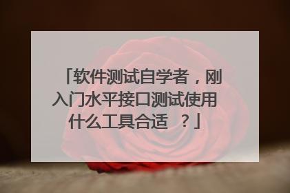 软件测试自学者,刚入门水平接口测试使用什么工具合适 ?