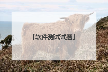 软件测试试题